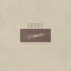 brsr.jpg