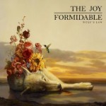 joy formidable.jpg