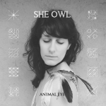 she owl.jpg